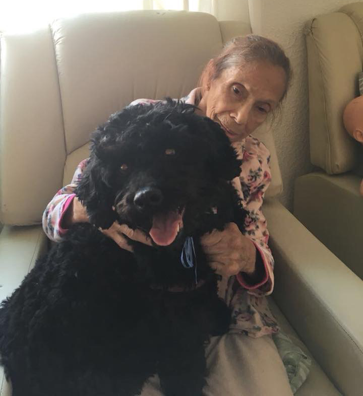 WhatsApp Ikmage 2018-10-23 at 14.29.08 cópia