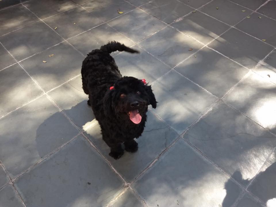 WhatsApp Image 2018-10-23 at 14.29.10