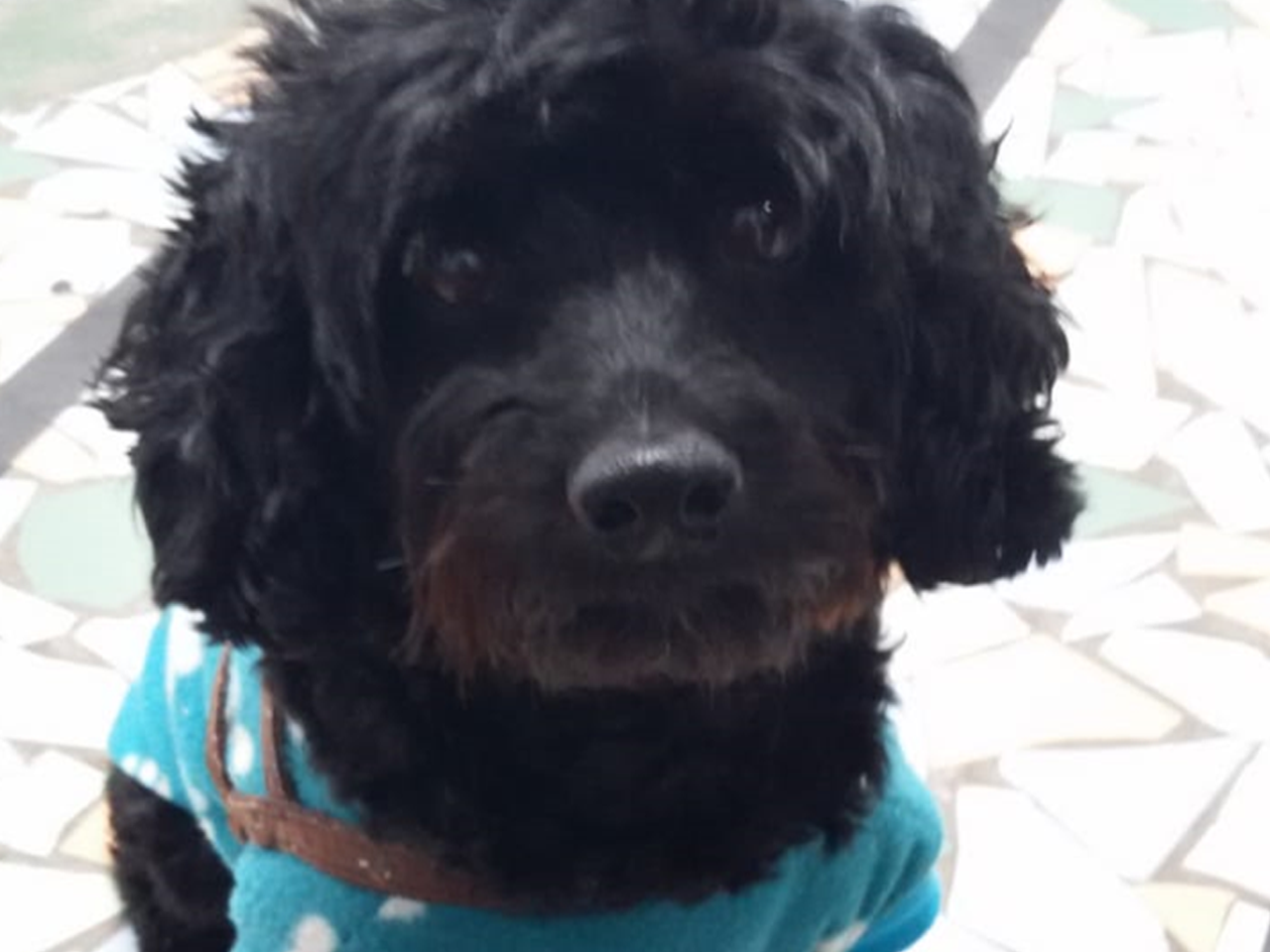 WhatsApp Image 2018k-f10-23 at 14.08.42